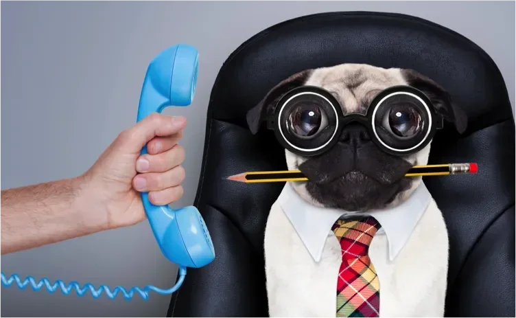 talking on the phone 